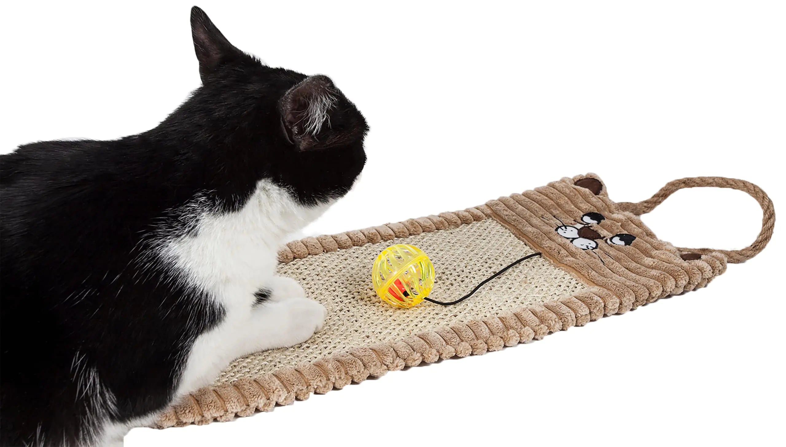 Natural Cat Scratcher & Lounge