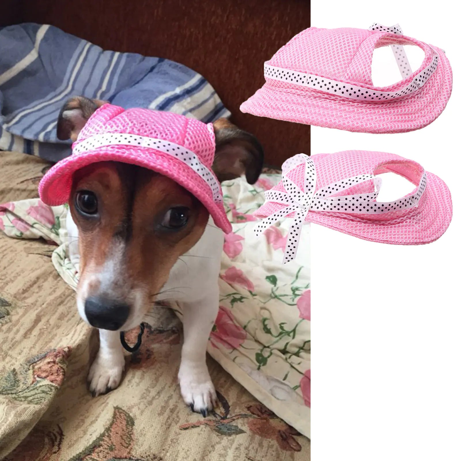 Summer Outdoor Breathable Dog Cap - Pet Accessories