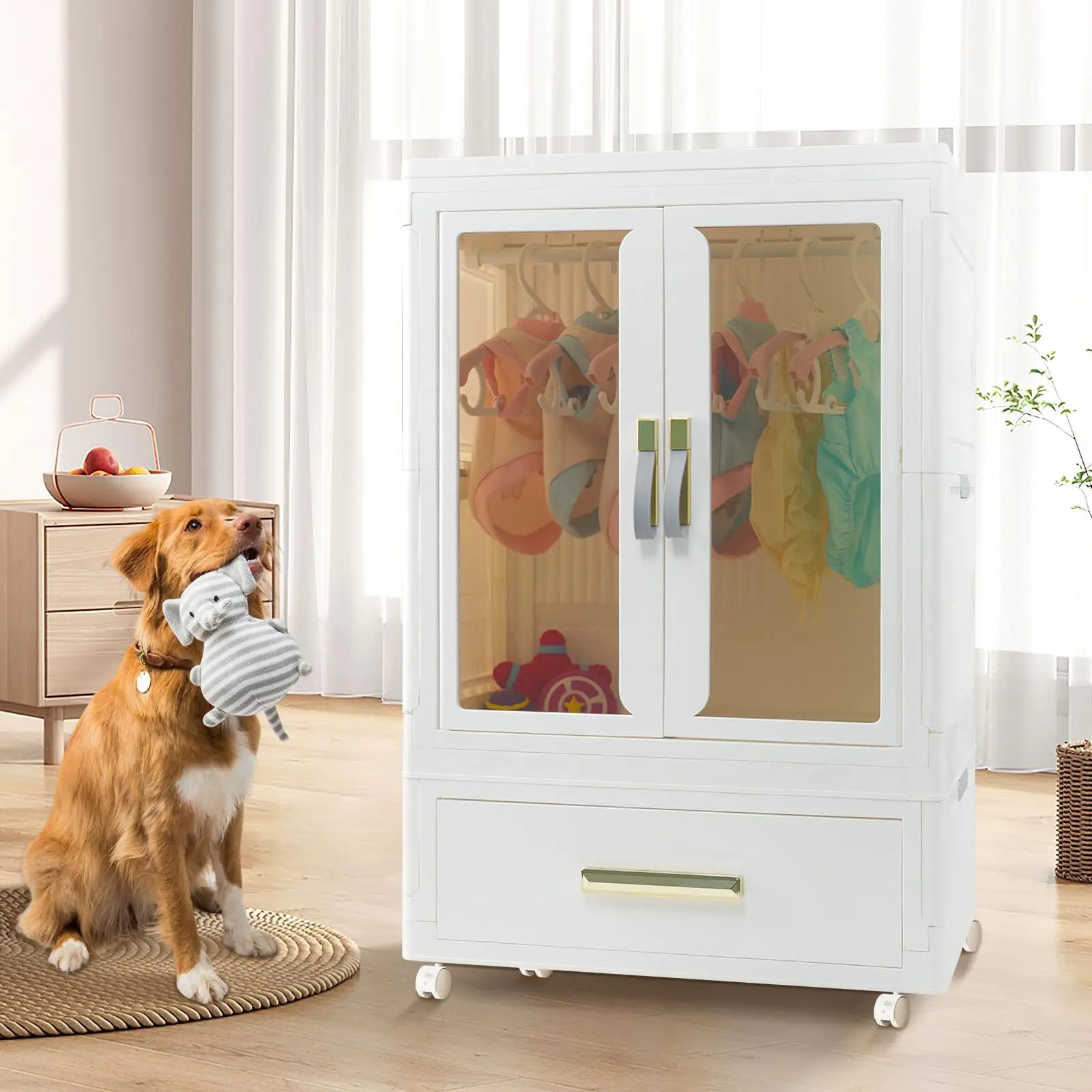 Organize Pet Clutter, Stylishly