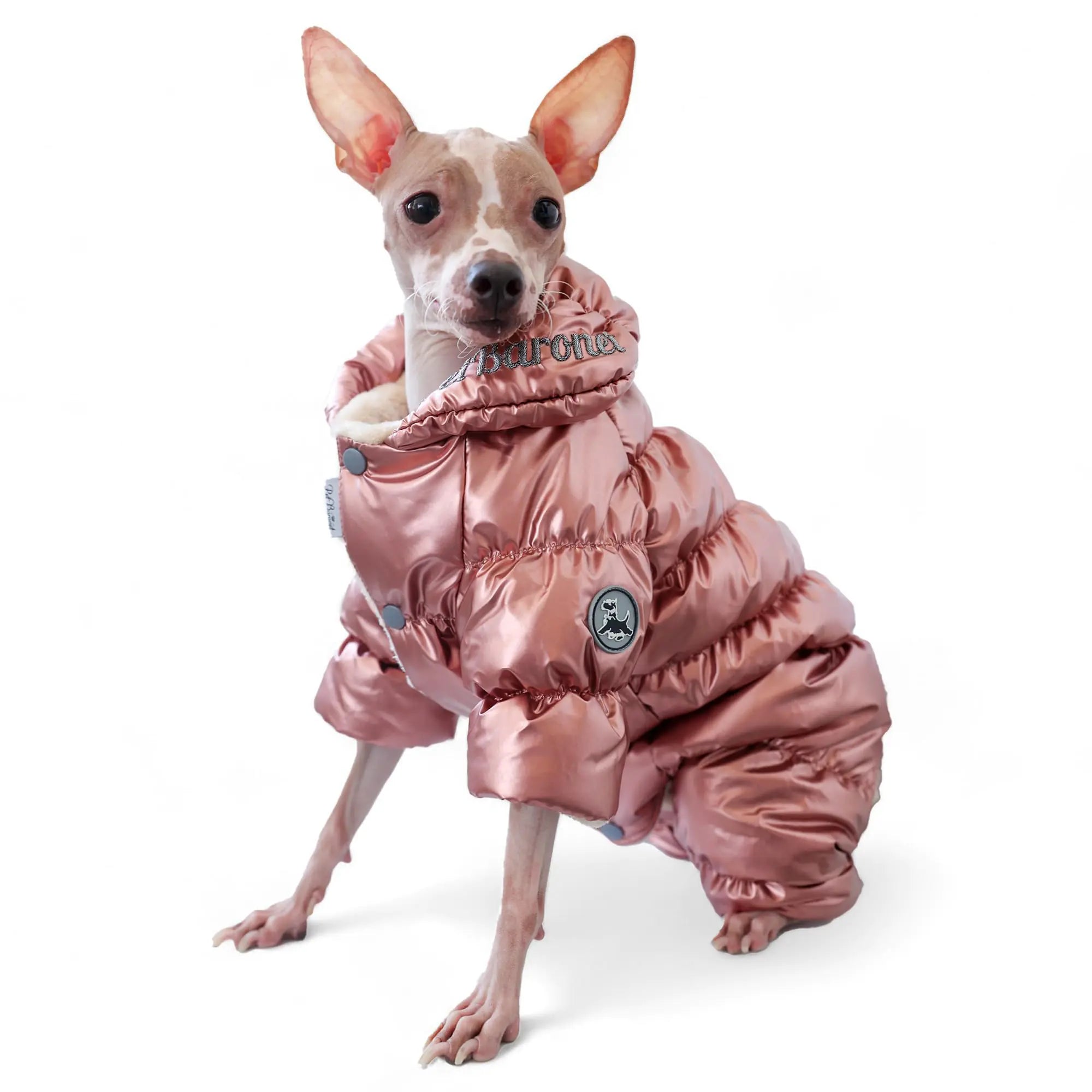 Warm Winter Dog Coat