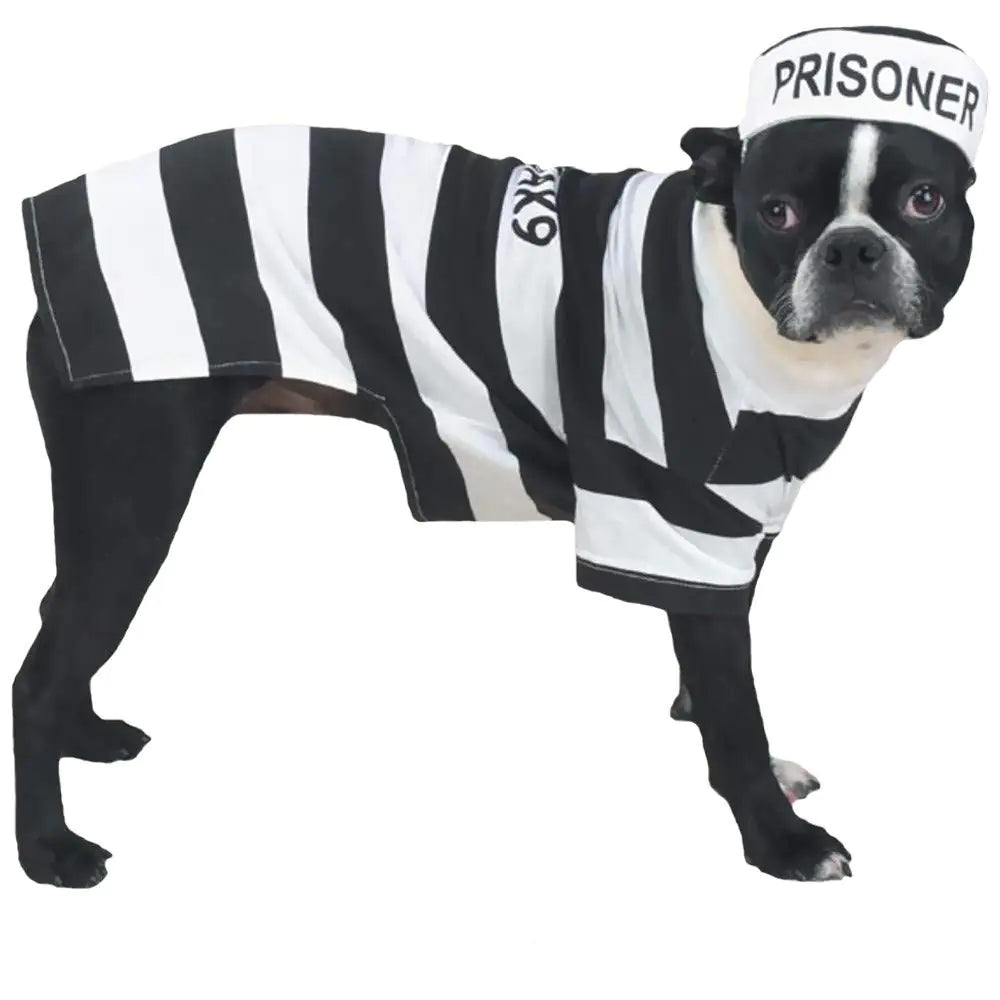Prison Pooch: Adorable Outlaw
