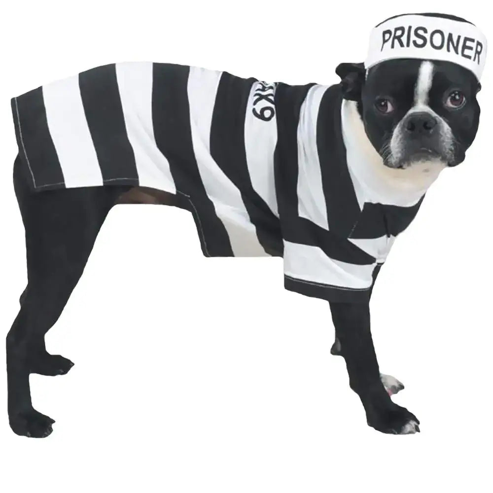 Prison Pooch: Adorable Outlaw