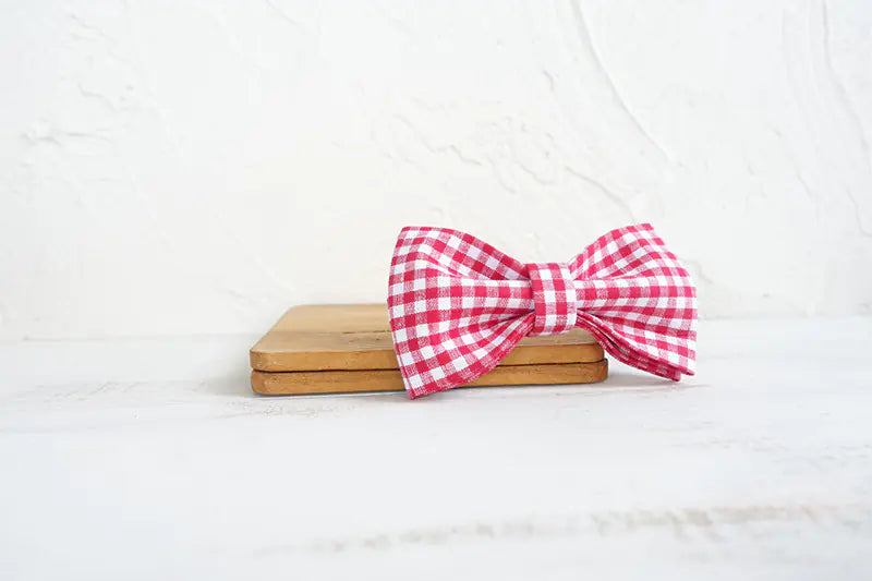 Pet Accessories for Dogs - Collars and Flowers