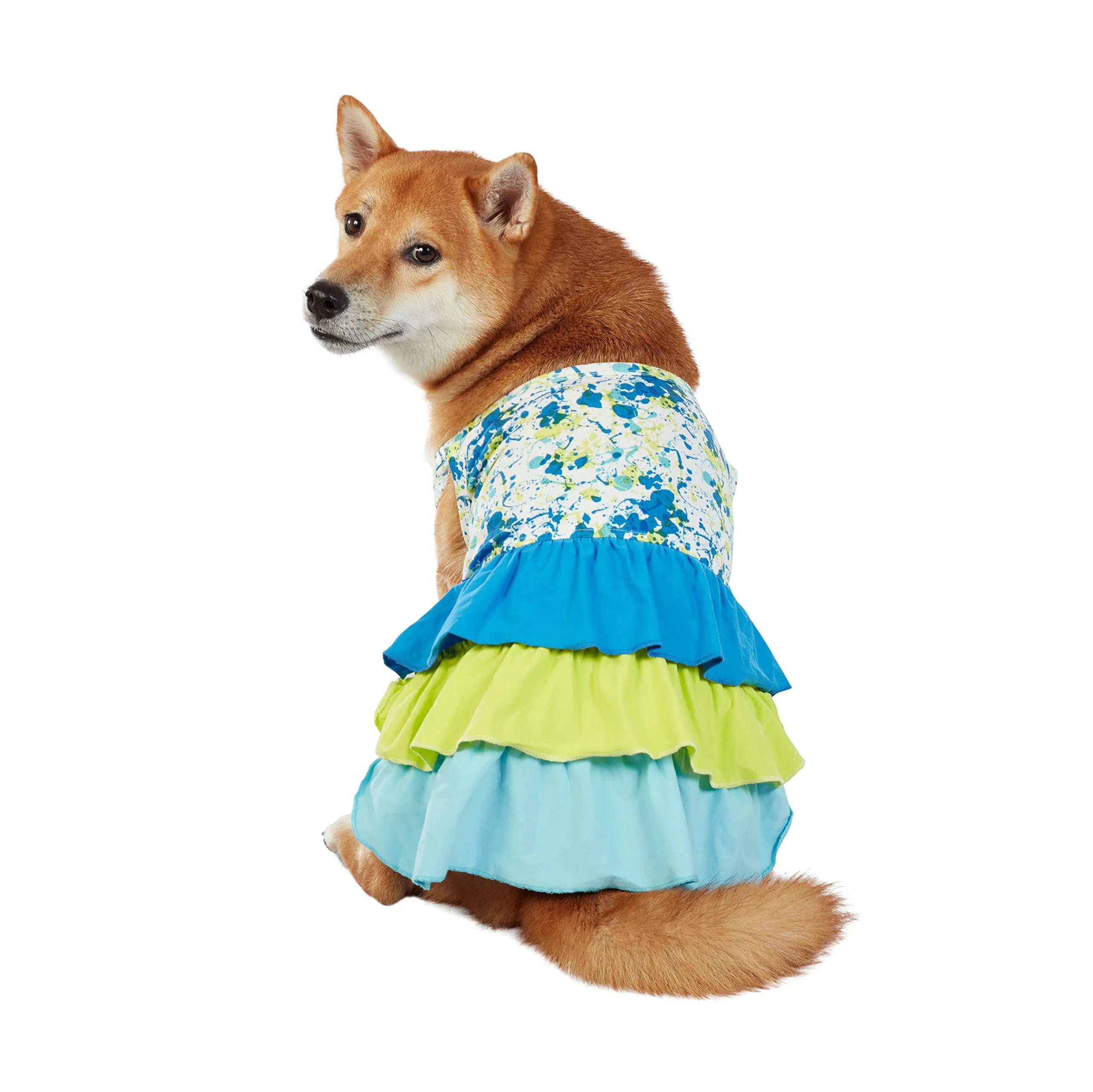 Best Furry Friends Dress for Dogs Color Splat Large
