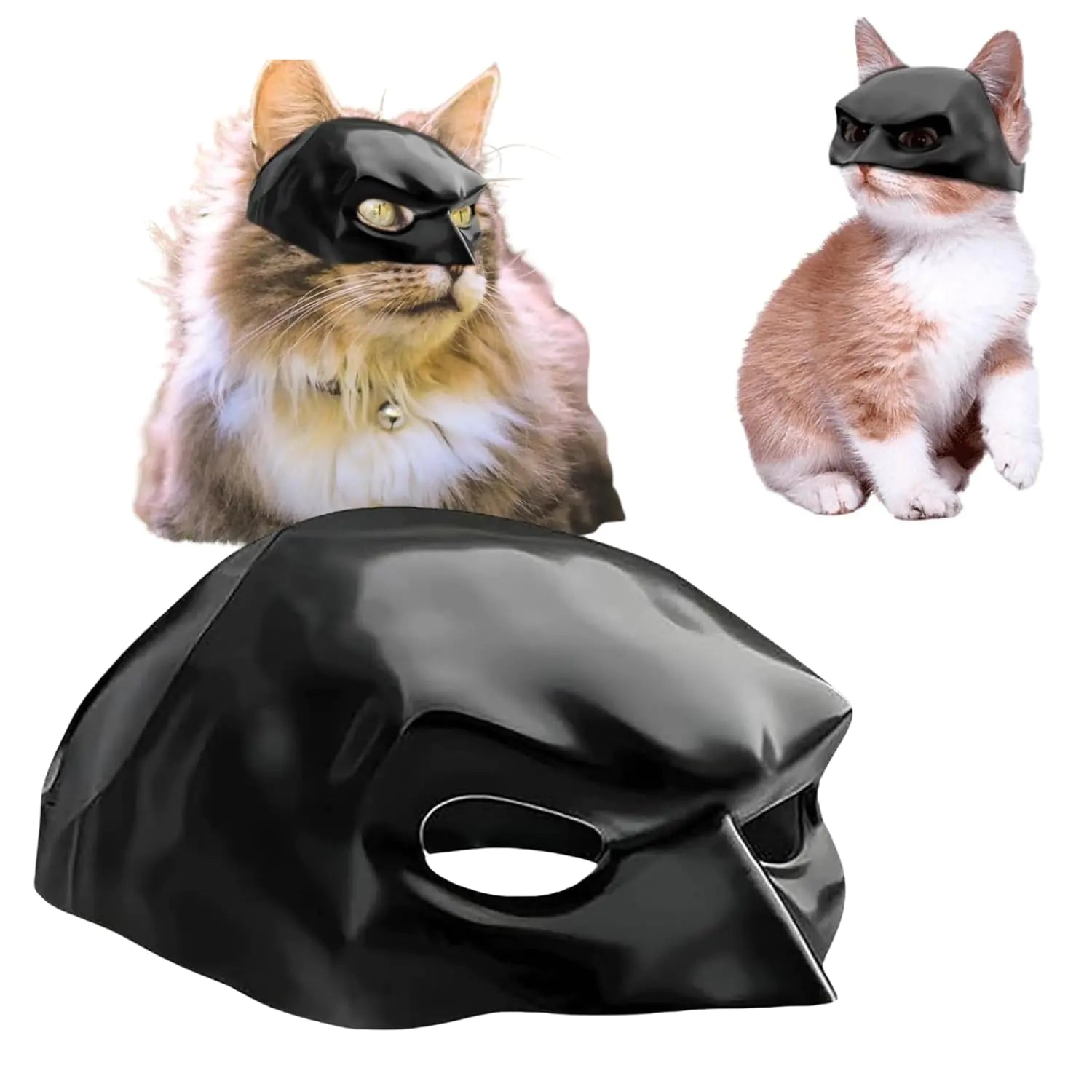 Hero Cat: Unleash Cuteness