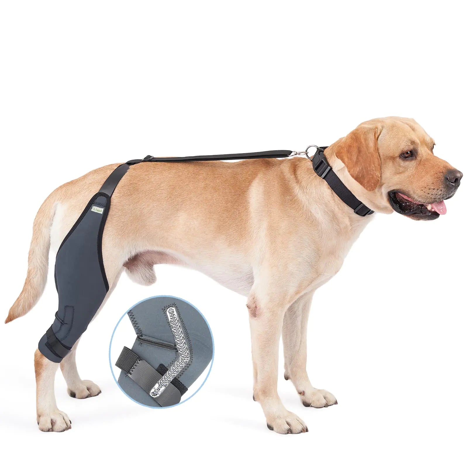 Restore Pet Mobility & Joy
