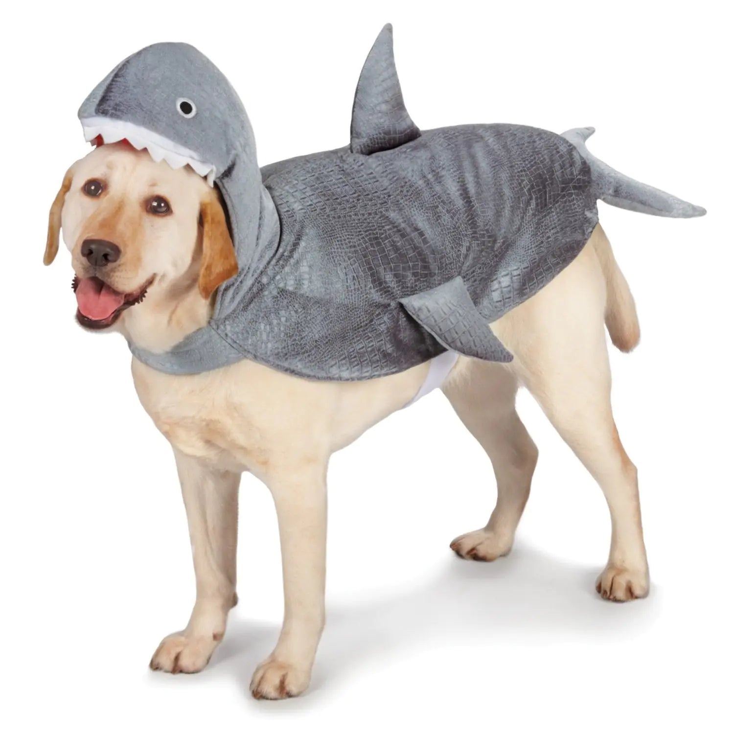 Shark Pet Costume Fun