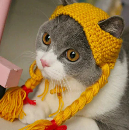 Cat Hat with Braids and Head Accessories
