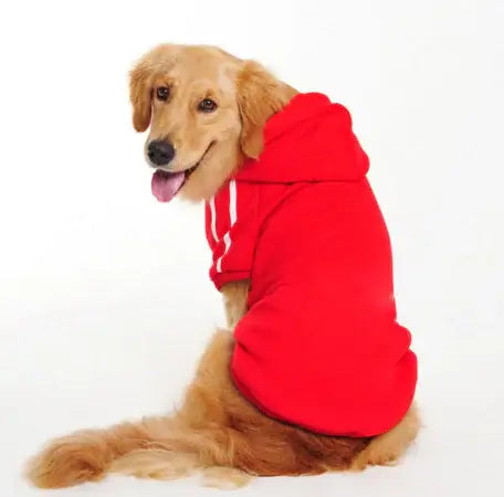 Pet Clothing Collection