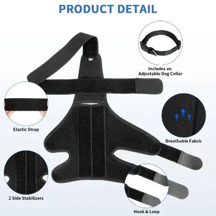 Protect Your Dog's Knees!