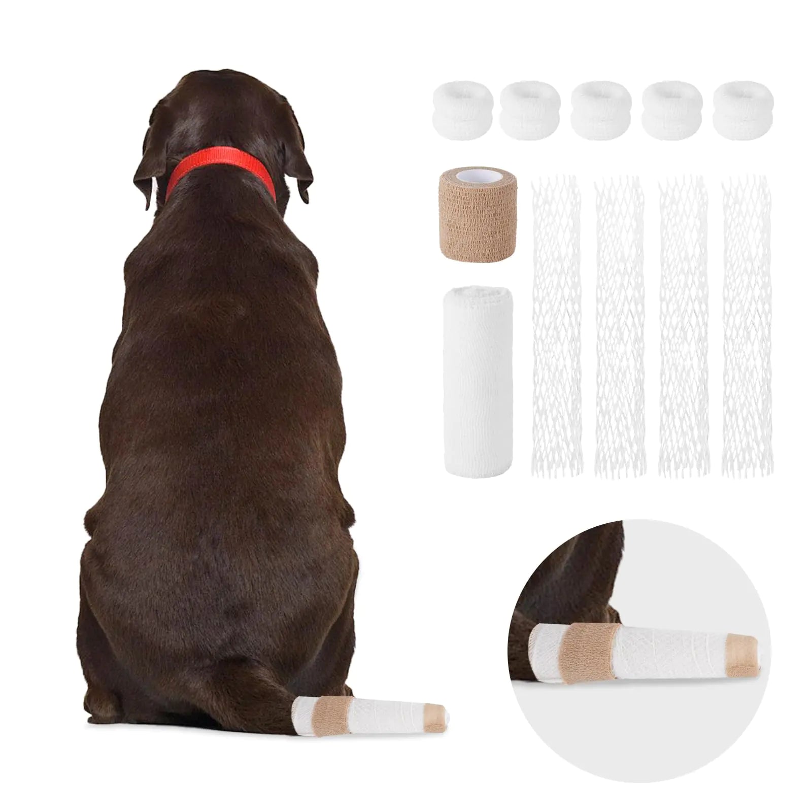 Protect That Happy Tail