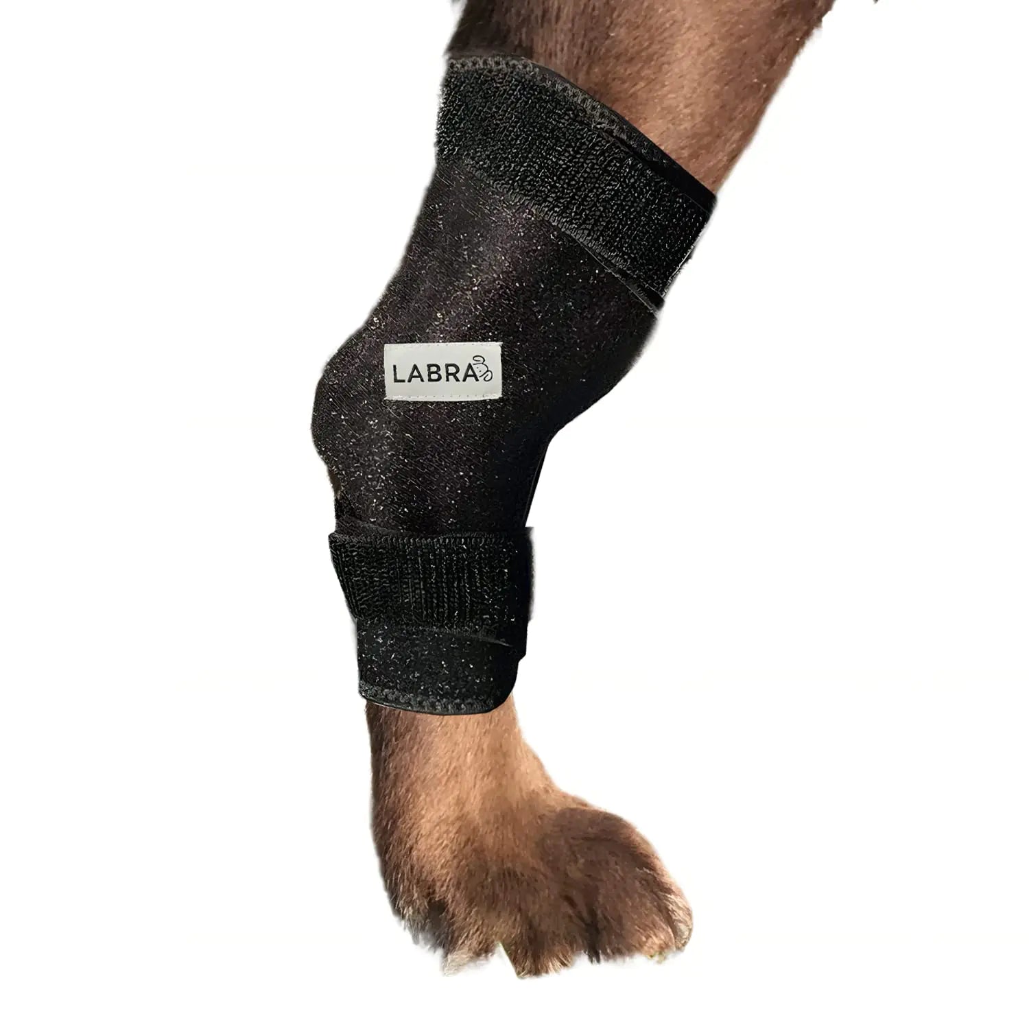 Soothe Dog Joint Pain